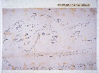 藏品(朴仔籬土牛側墾闢田園圖)的圖片